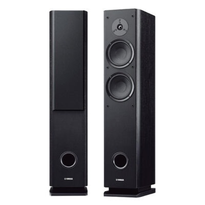 Floor Standing Speakers